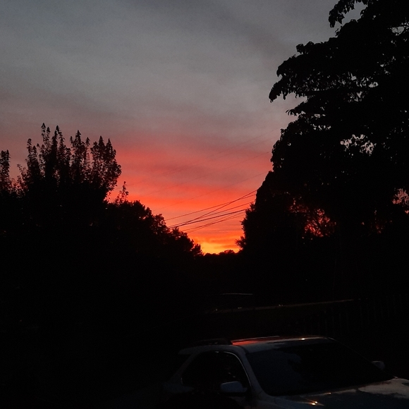 Meet your Posher, Eva - Picture 2 of 2